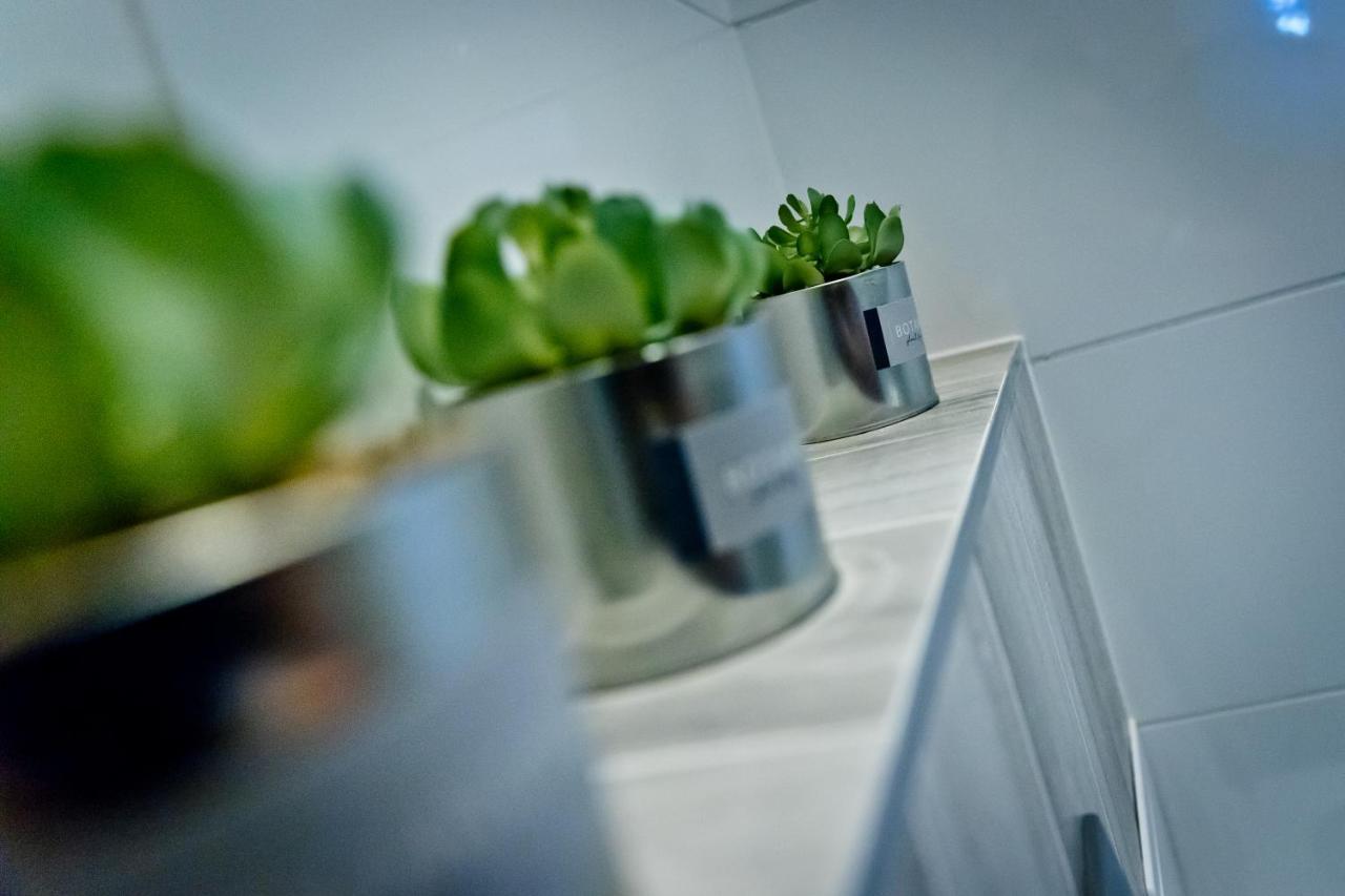 Apartament Kalinka Nysa Extérieur photo